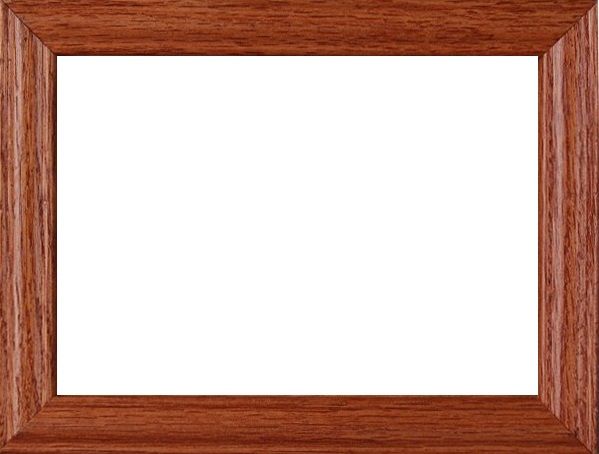 Yorkshire Terrier - ColorWorks Magnetic Dog Breed Mattes