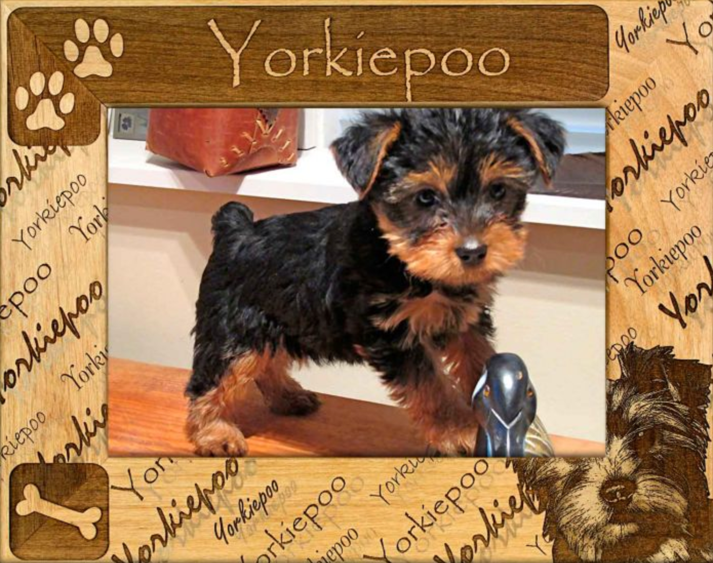 Custom frame of yorkipoo dog with wooden engravings of bone and paw prints