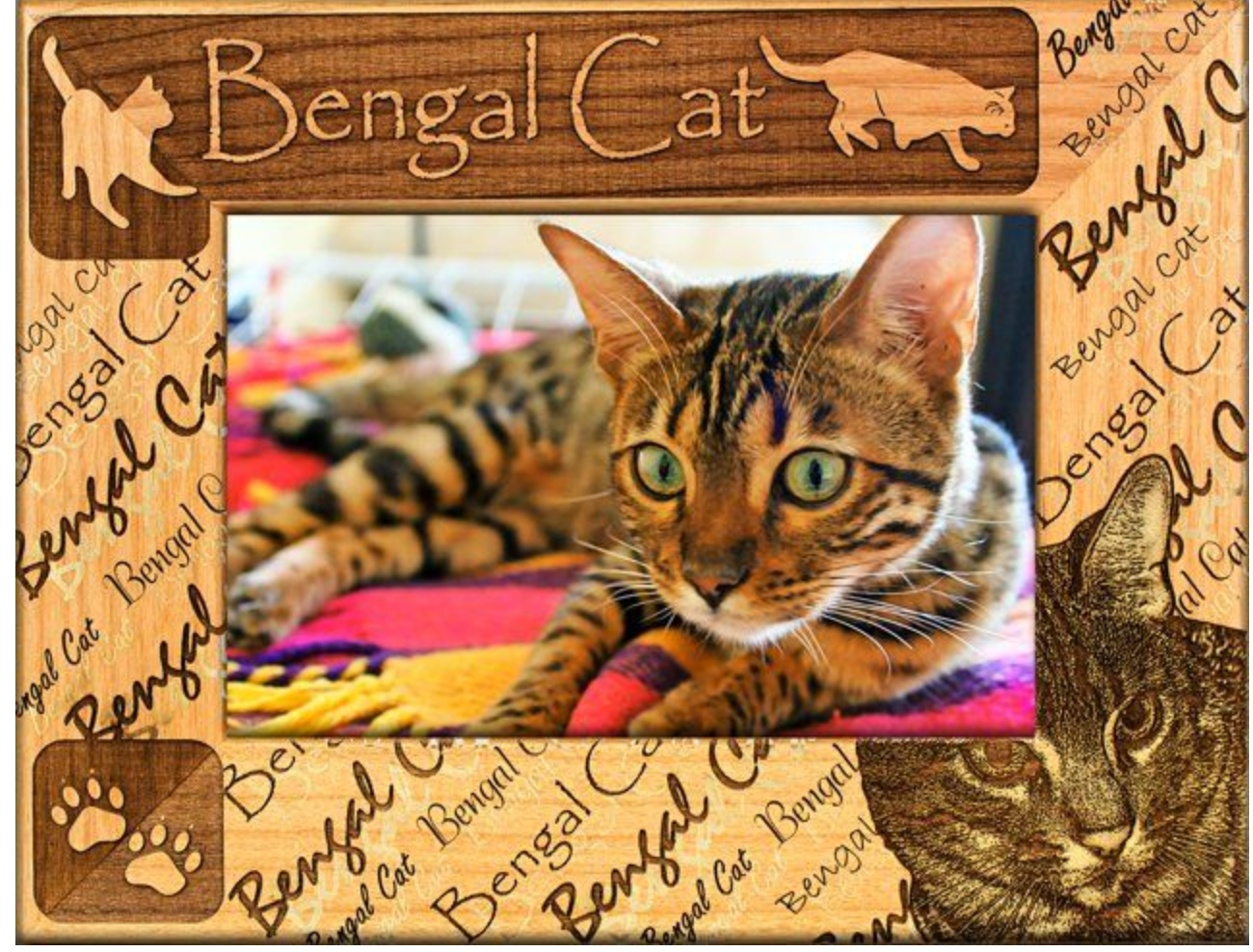 Bengal cat pet picture frame from GiftWorksPlus