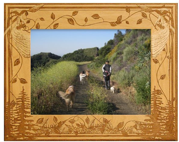 Wooden photo frame containing picture of woman walking her dogs in a field