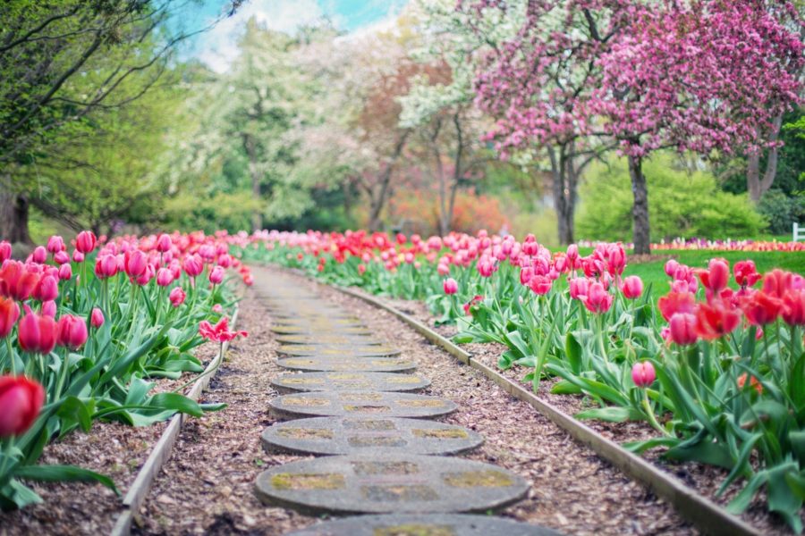 Top 5 Midwest National Parks and Lakes to Visit This Summer