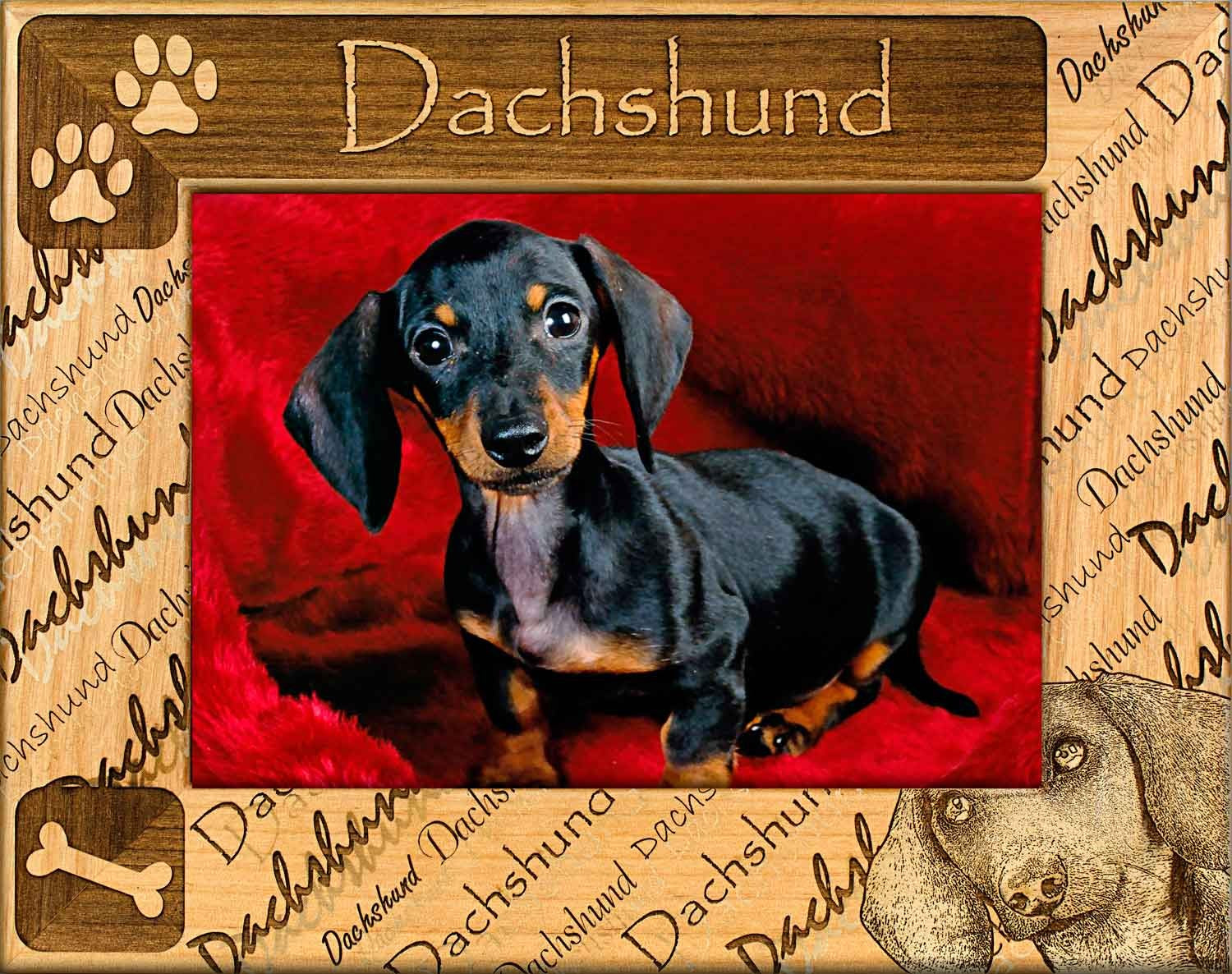 Dog Breed Frames - Dachshund