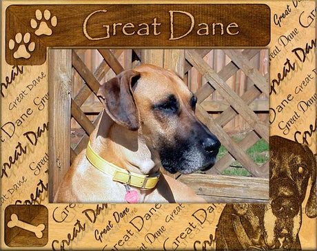 Great Dane Picture Frame