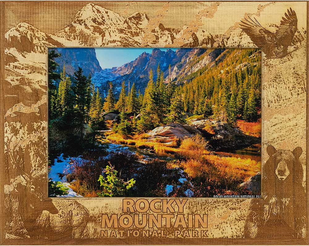 Rocky Mountain National Park Rustic Wildlife Collage