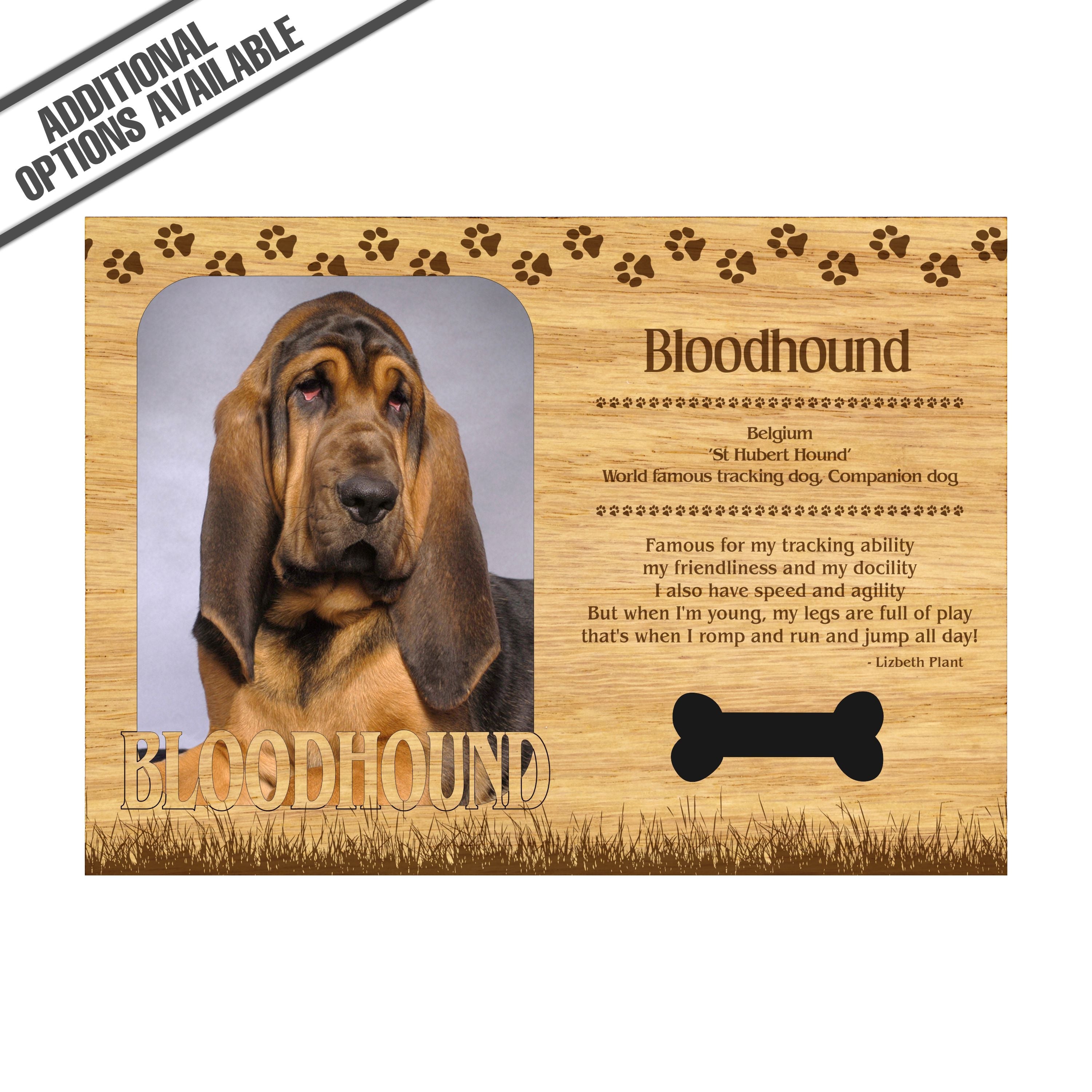 FW Engraved Wood Matte - F-MAT_-20-0026 - Bloodhound - Dog Profile
