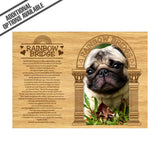 FW Engraved Wood Matte - F-MAT_-5-0279 - Rainbow Bridge