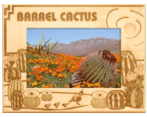 Barrel Cactus