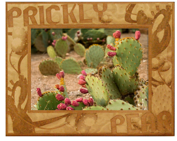 Prickly Pear