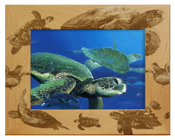 Sea Turtles