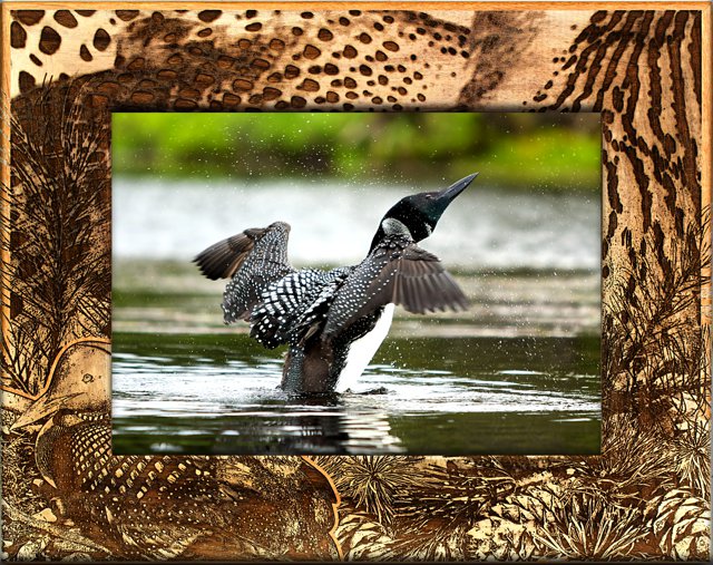 Loon Border Photo Frame