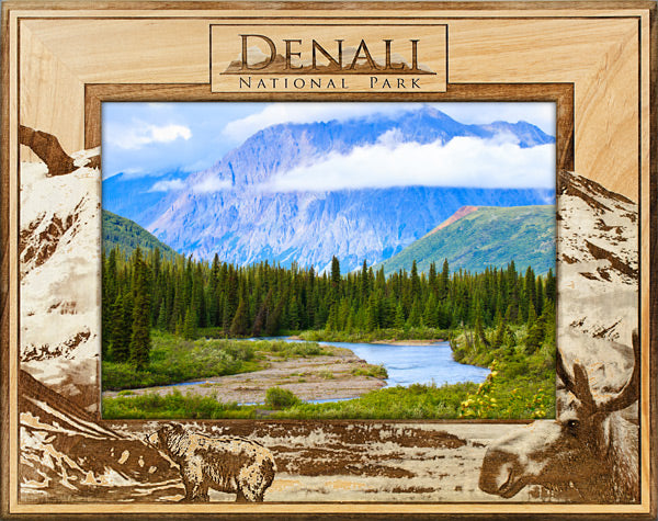 Denali National Park 2