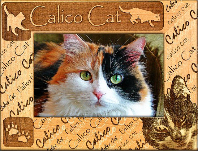 Calico Cat Picture Frame