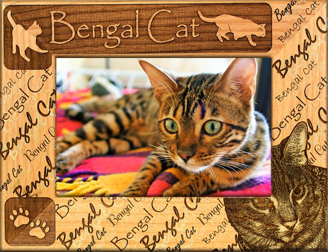 Bengal Cat Photo Frame