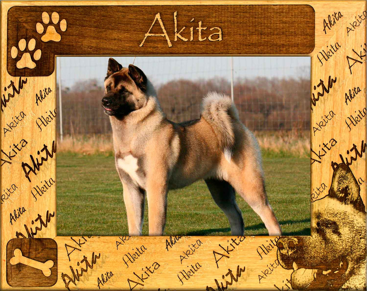 Akita