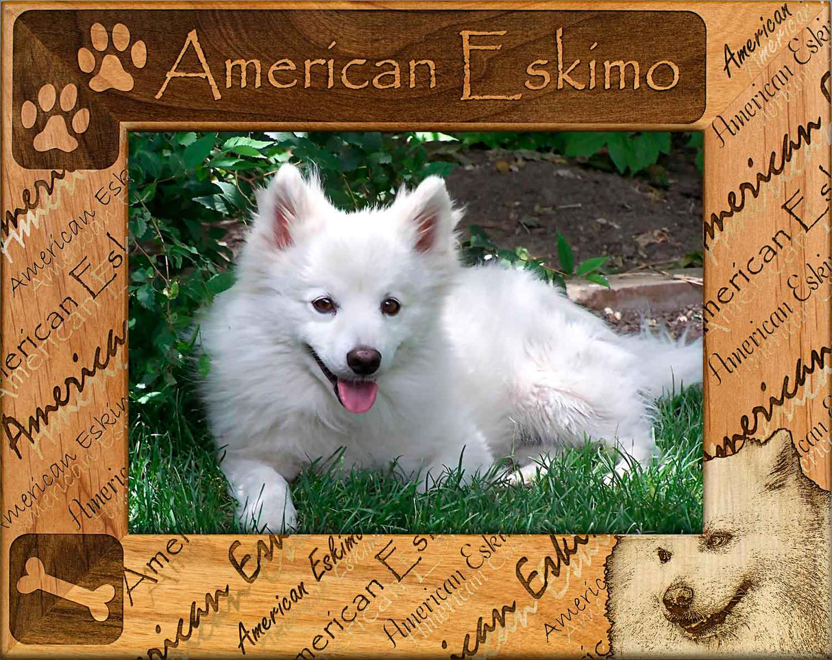 American Eskimo