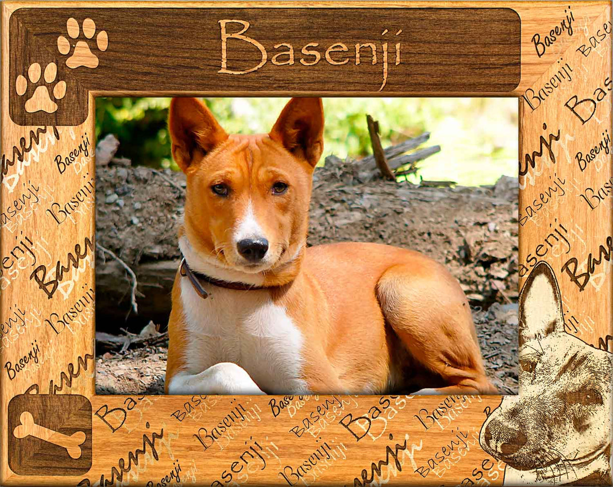 Basenji