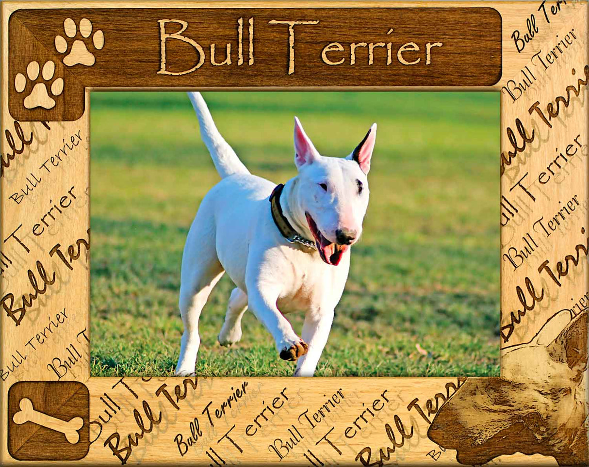 Bull Terrier