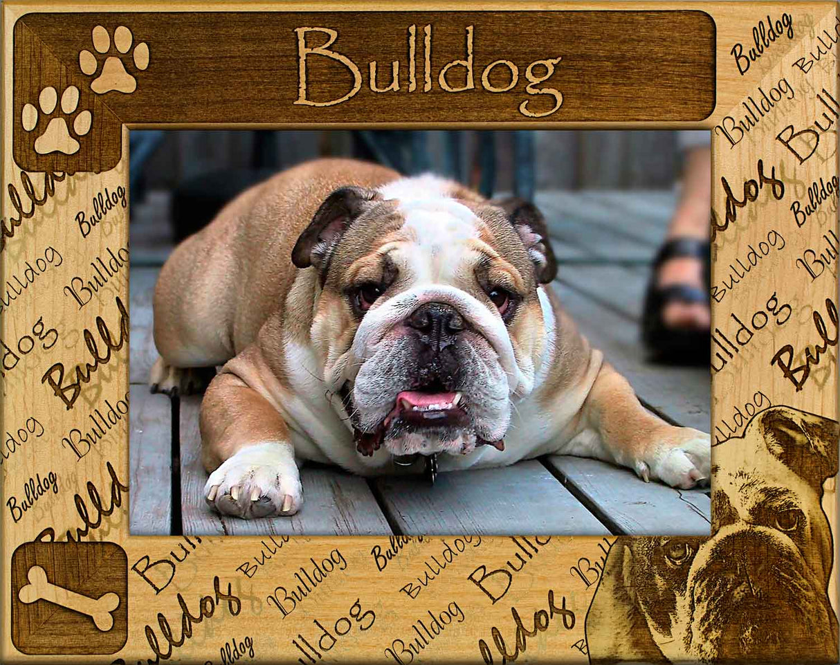 Bulldog