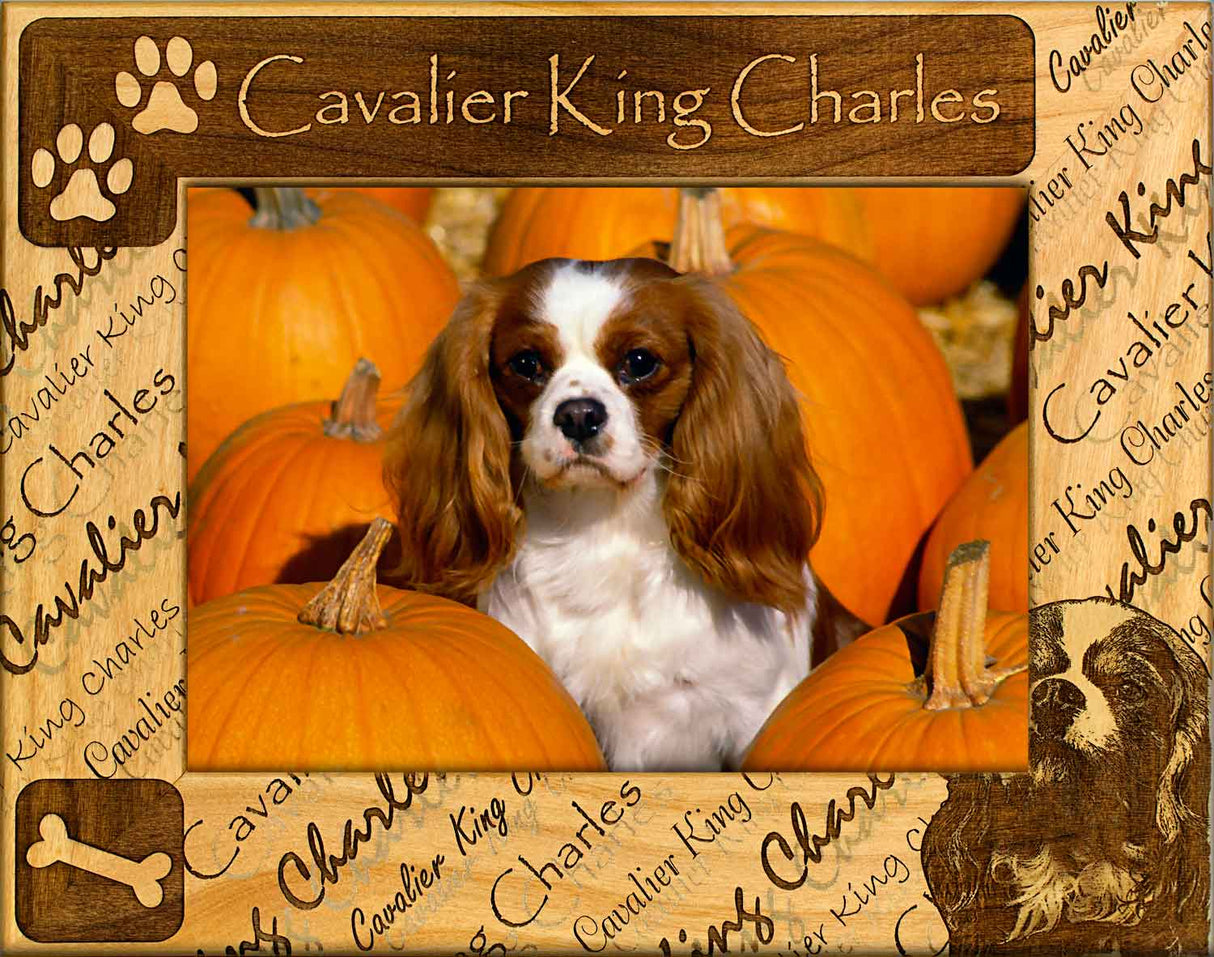 Cavalier King Charles