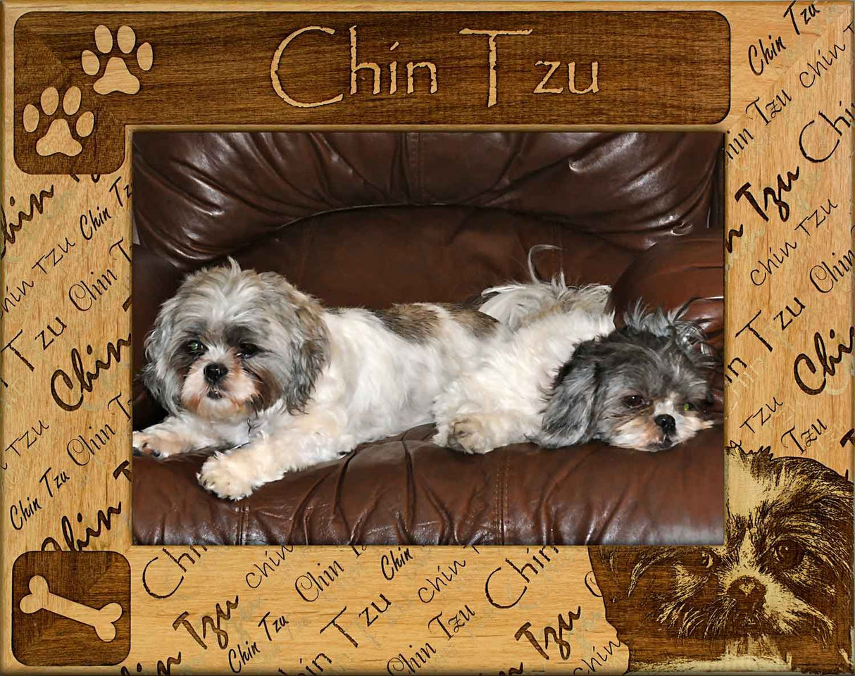 Chin Tzu