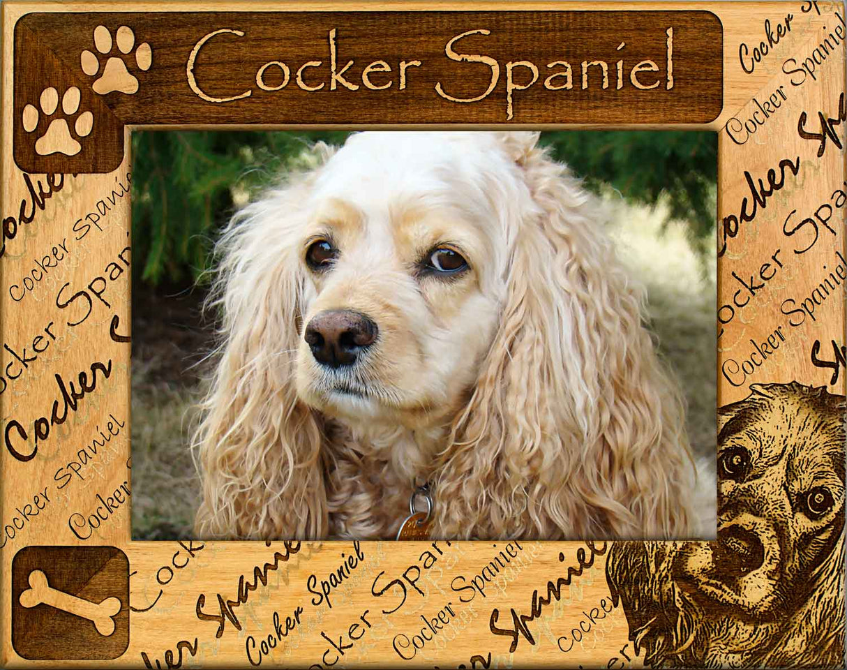 Cocker Spaniel