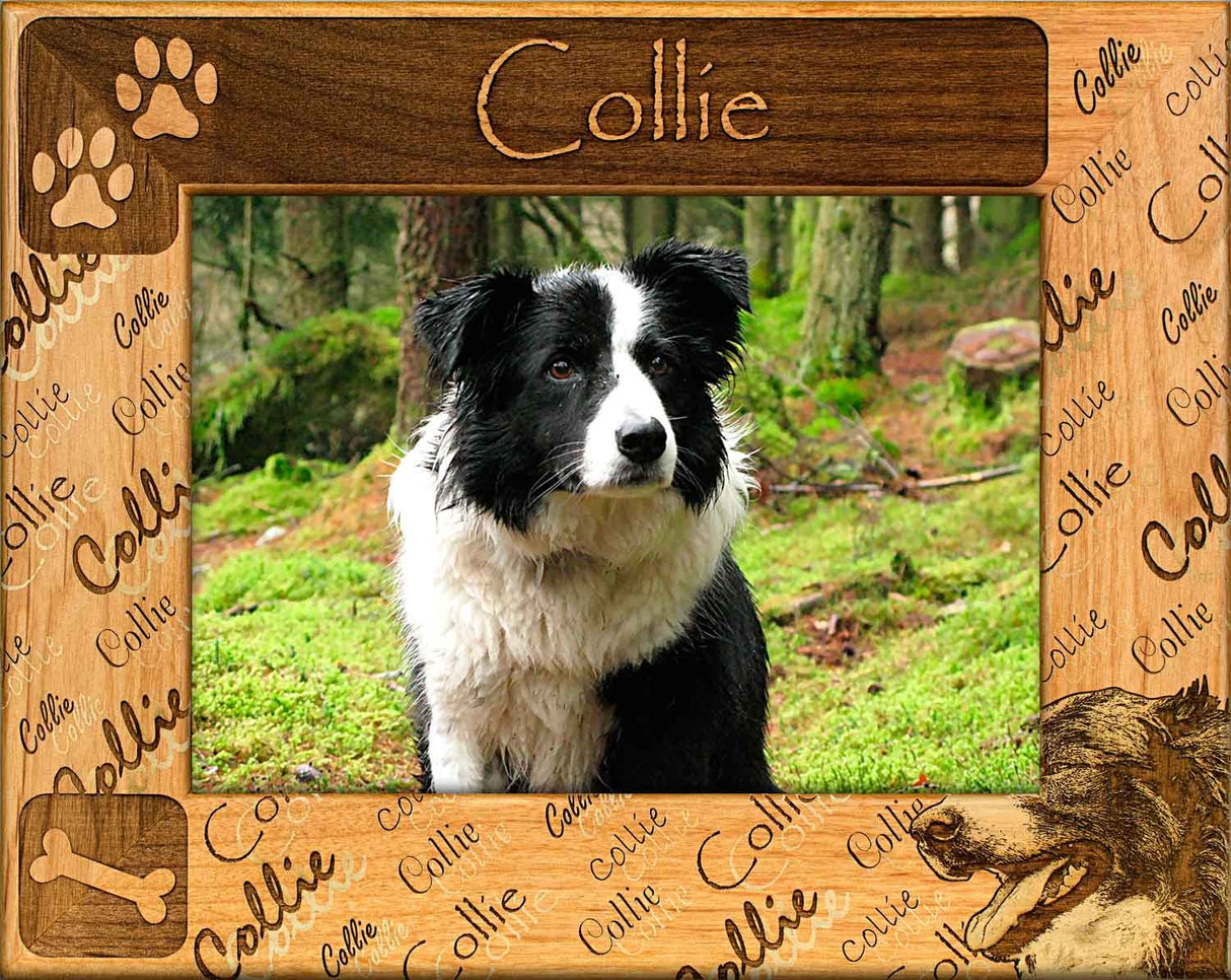 Collie