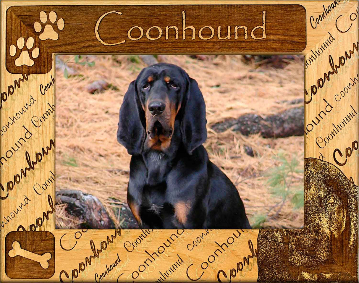 Coonhound