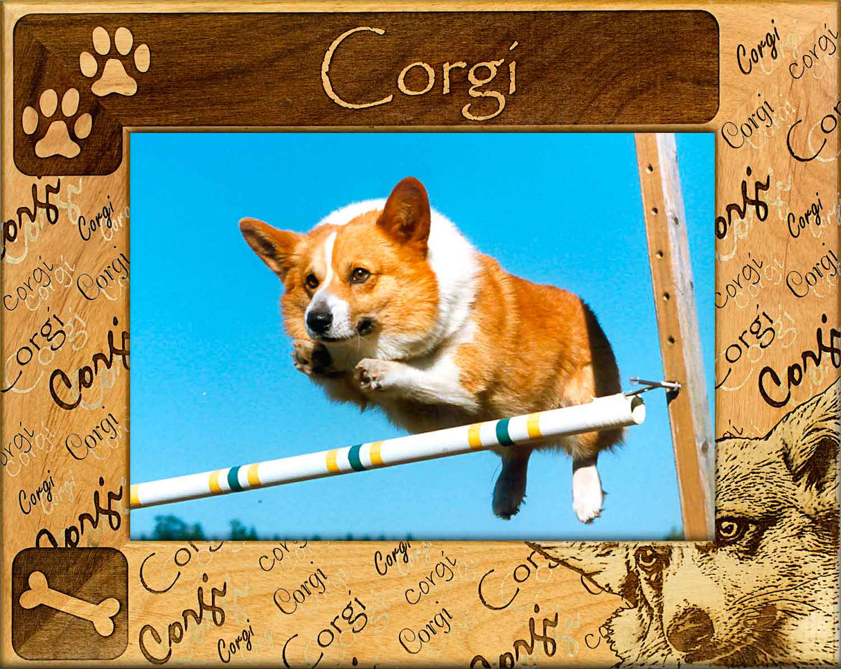 Corgi