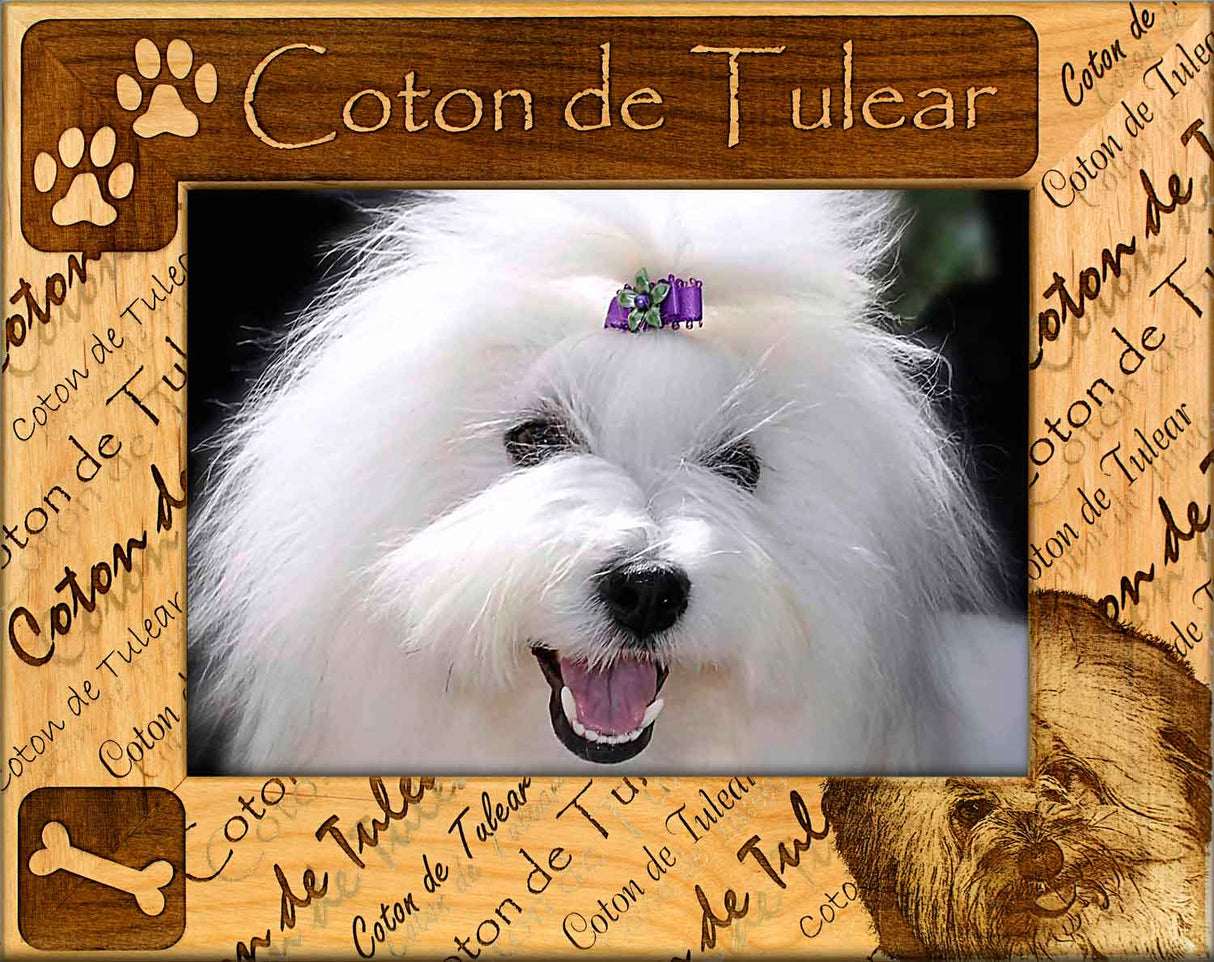 Coton de Tulear