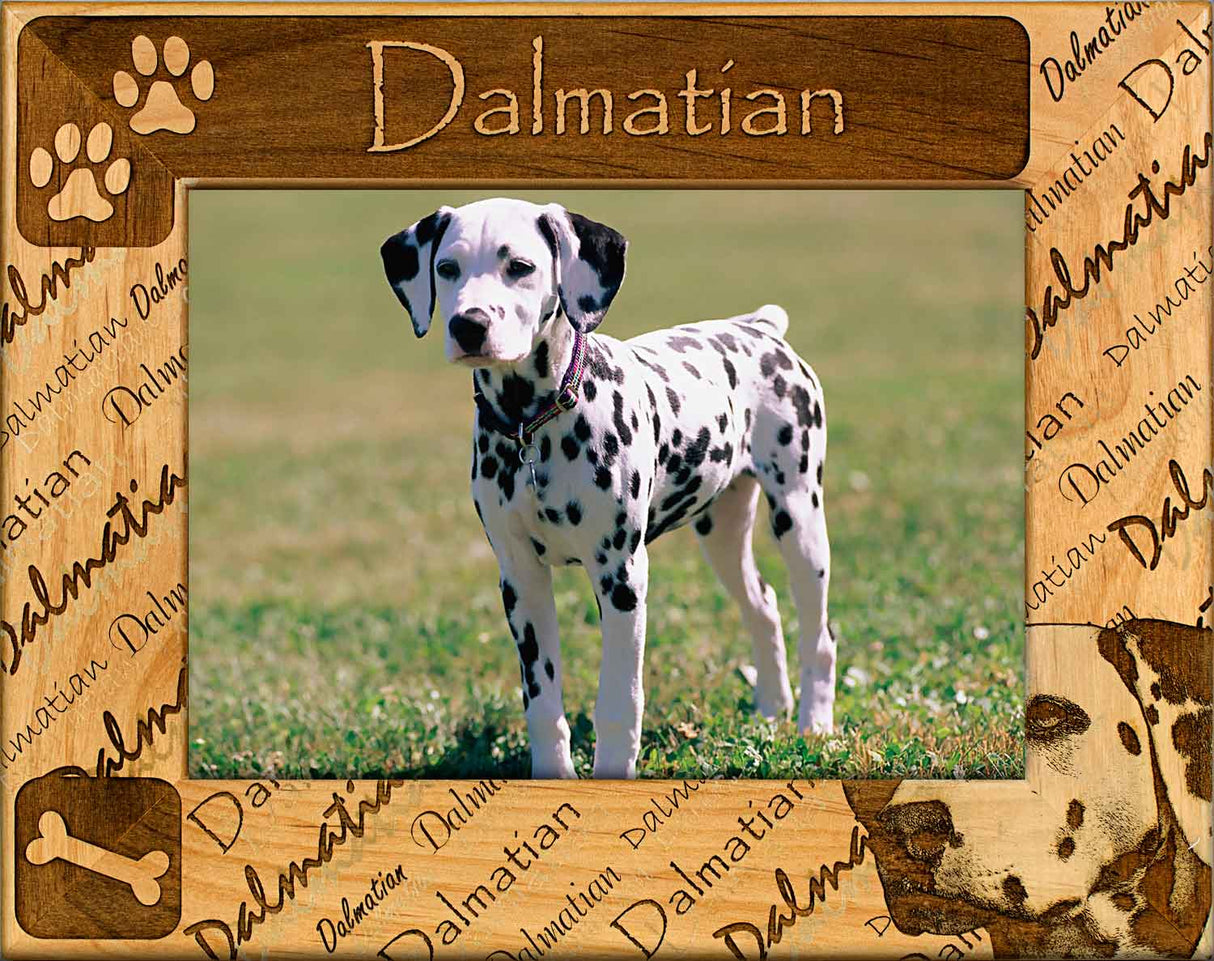 Dalmatian