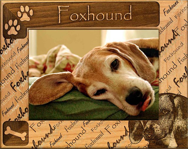 Foxhound