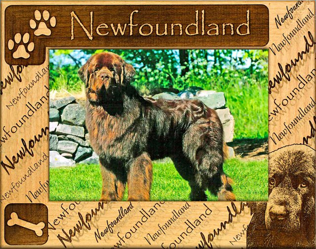 Newfoundland