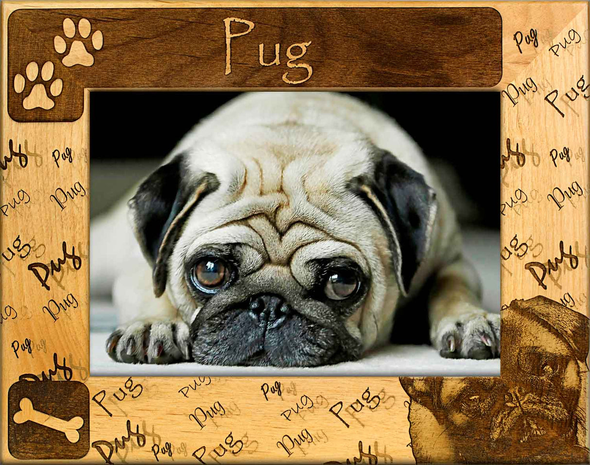 Pug - Dog Frame