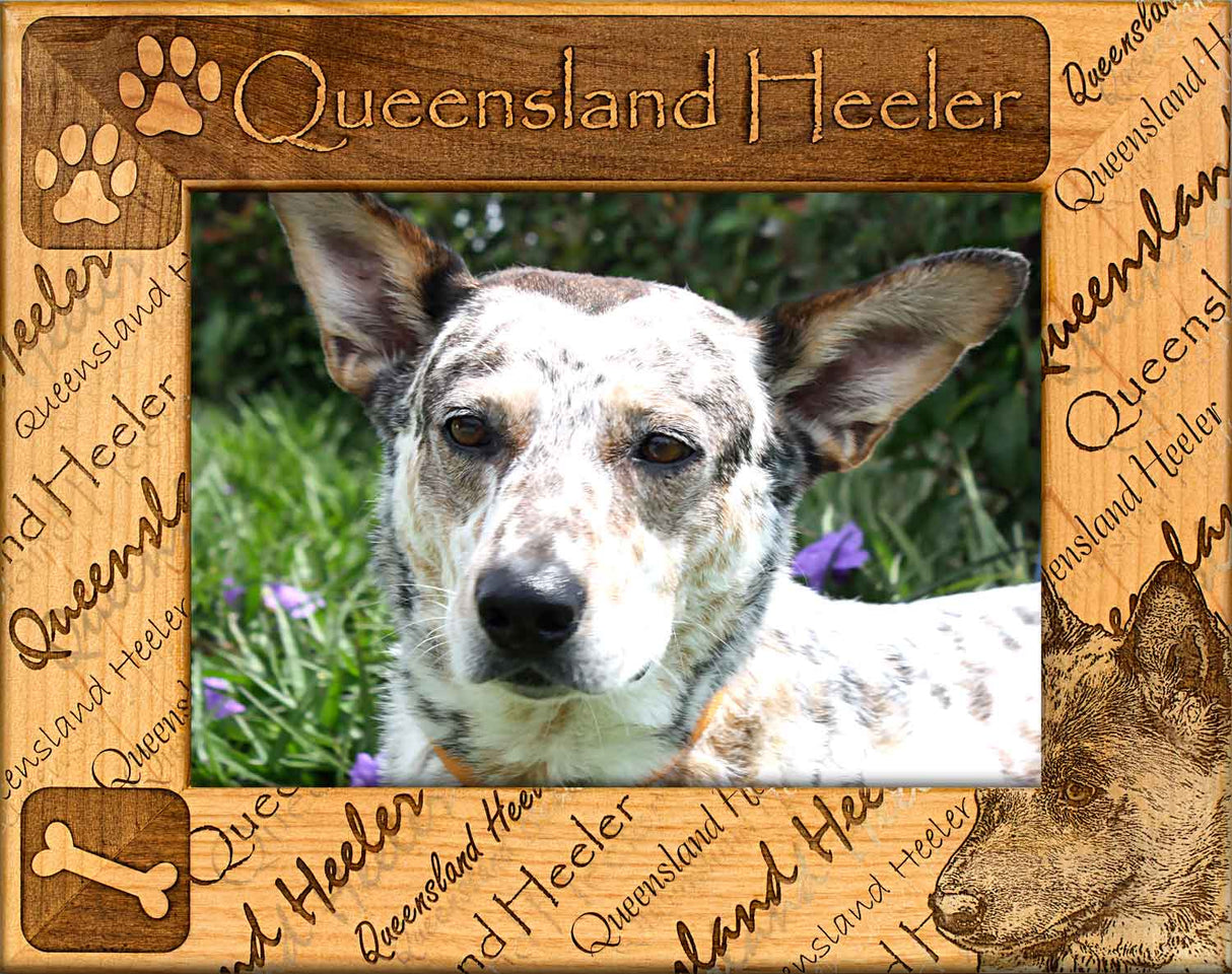 Queensland Heeler - Pet Frame