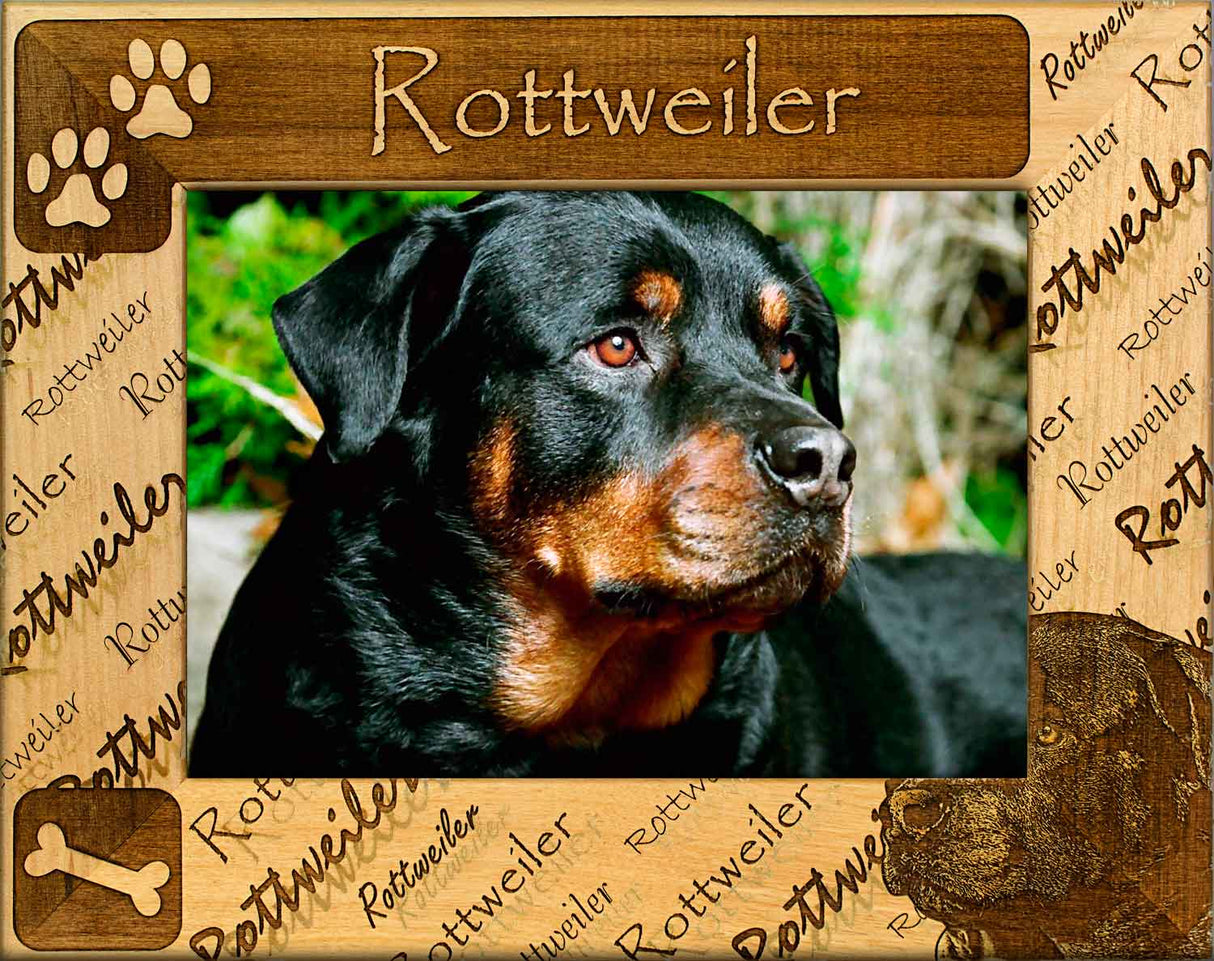 Rottweiler - Dog Photo Frame