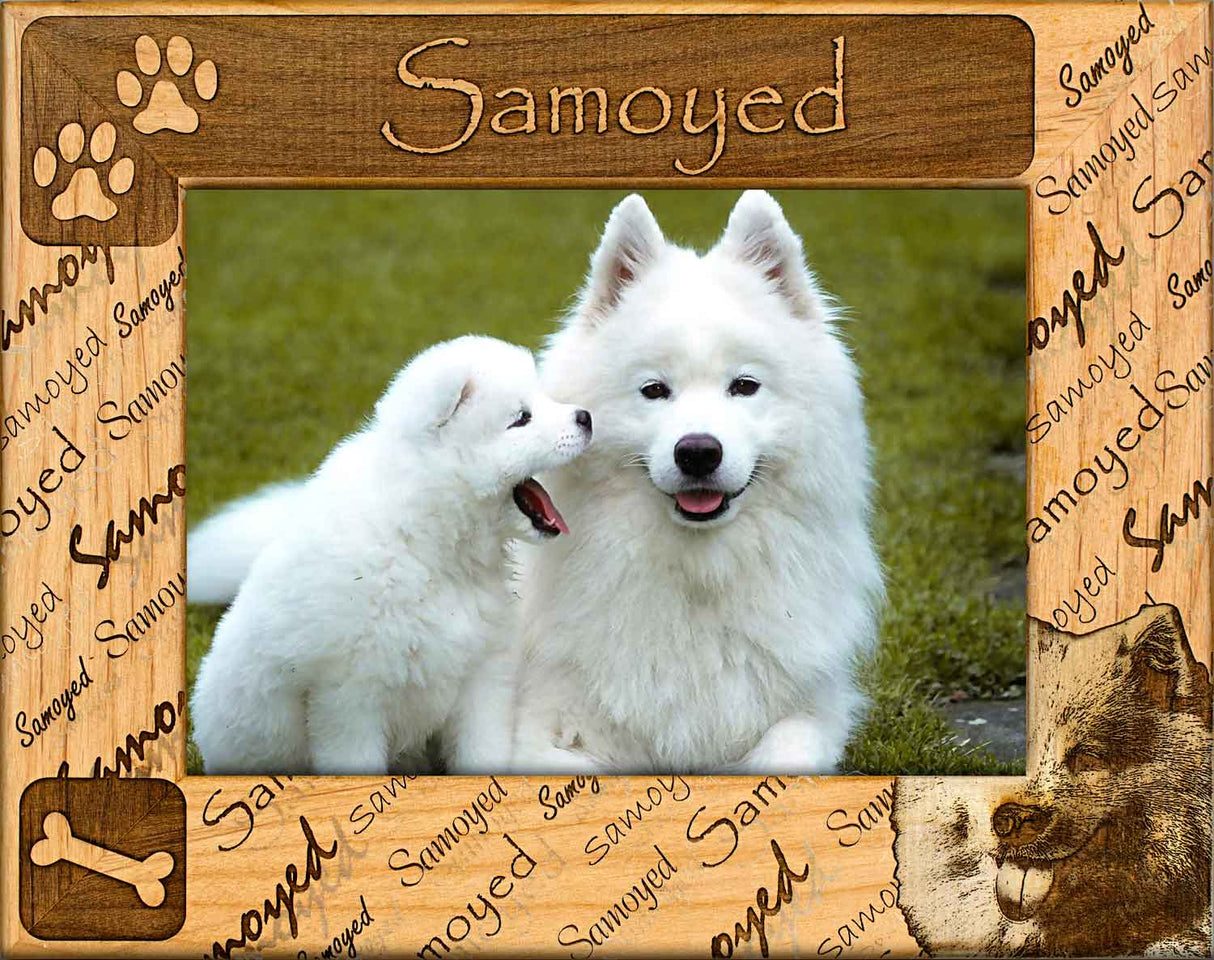 Samoyed - Dog Breed Frame