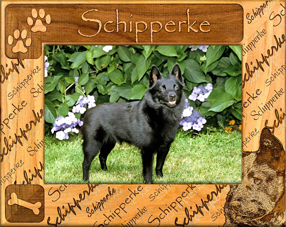 Schipperke - Dog Breed Picture Frame