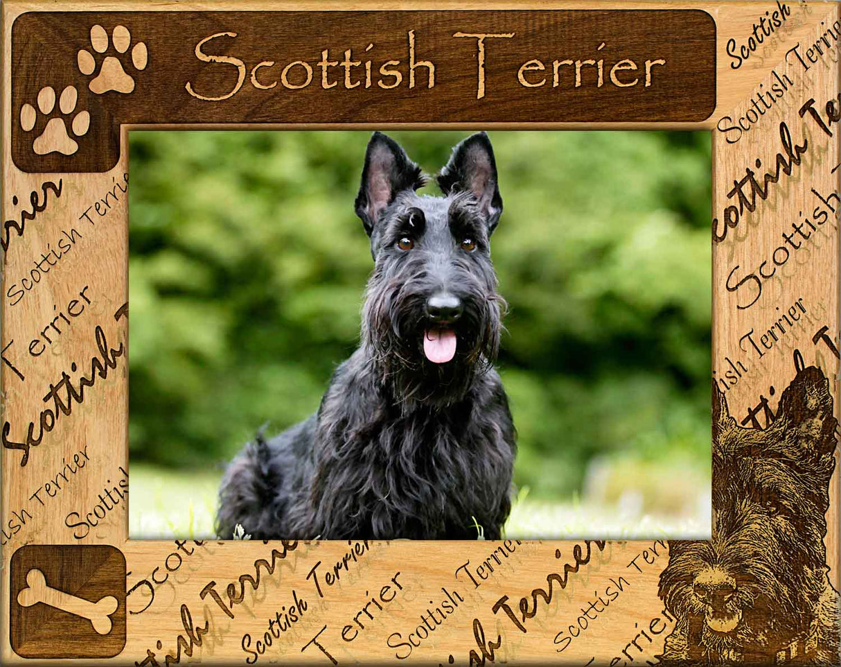 Scottish Terrier - Pet Frame