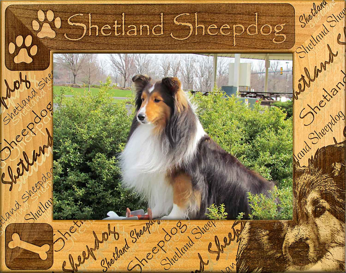 Shetland Sheepdog- Dog Breed Frame