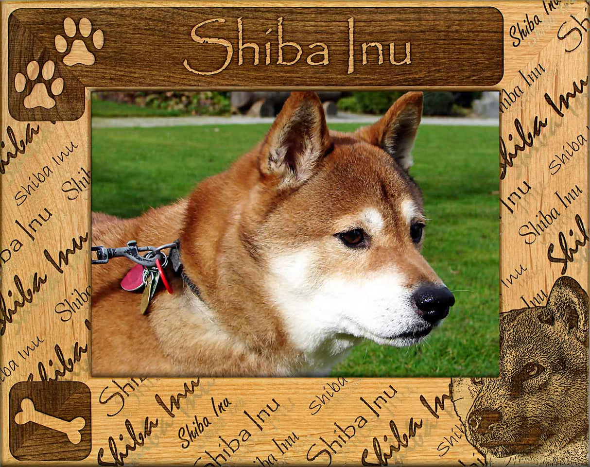 Shiba Inu - Dog Breed Picture Frame