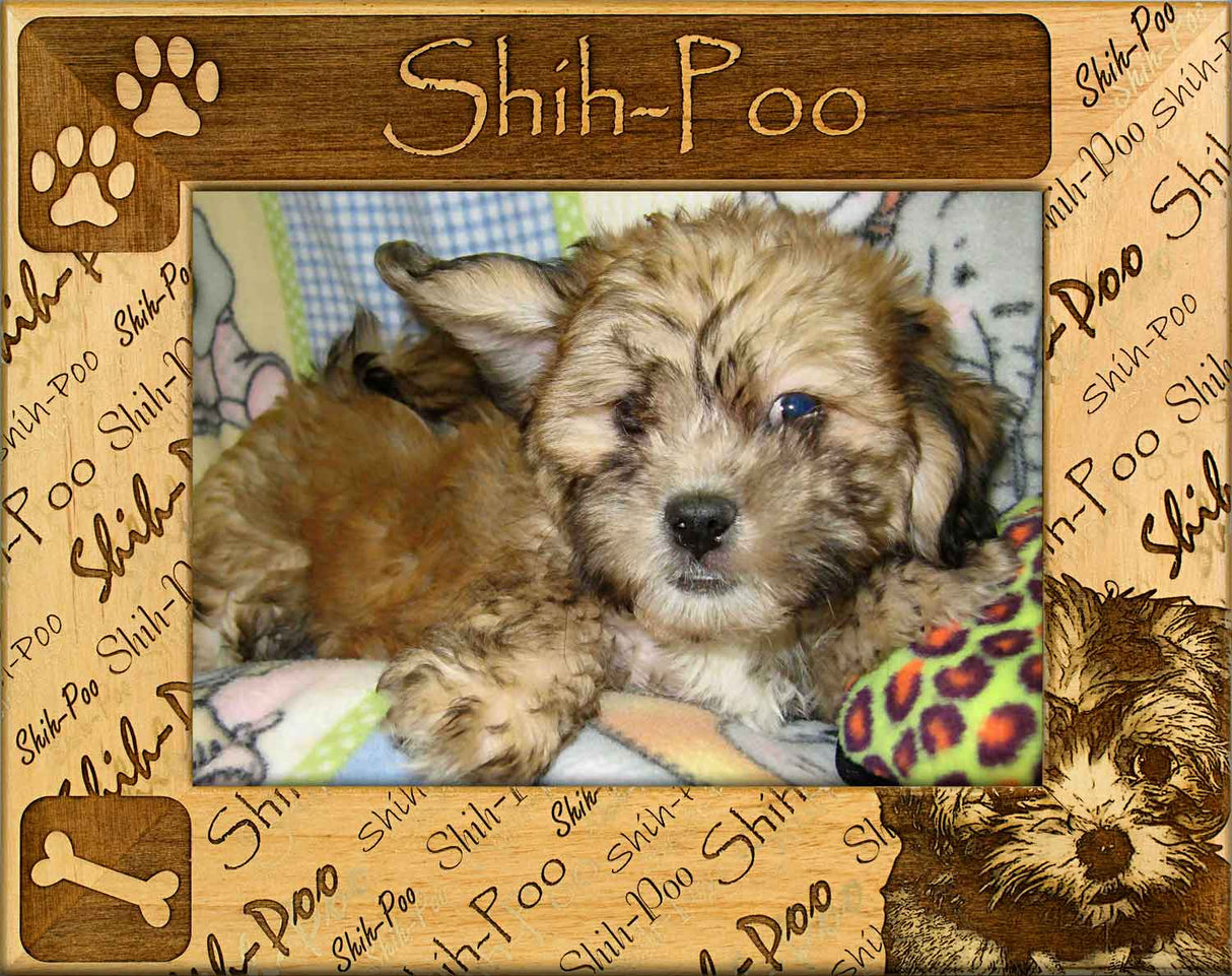 Shih-Poo - Dog Breed Frame