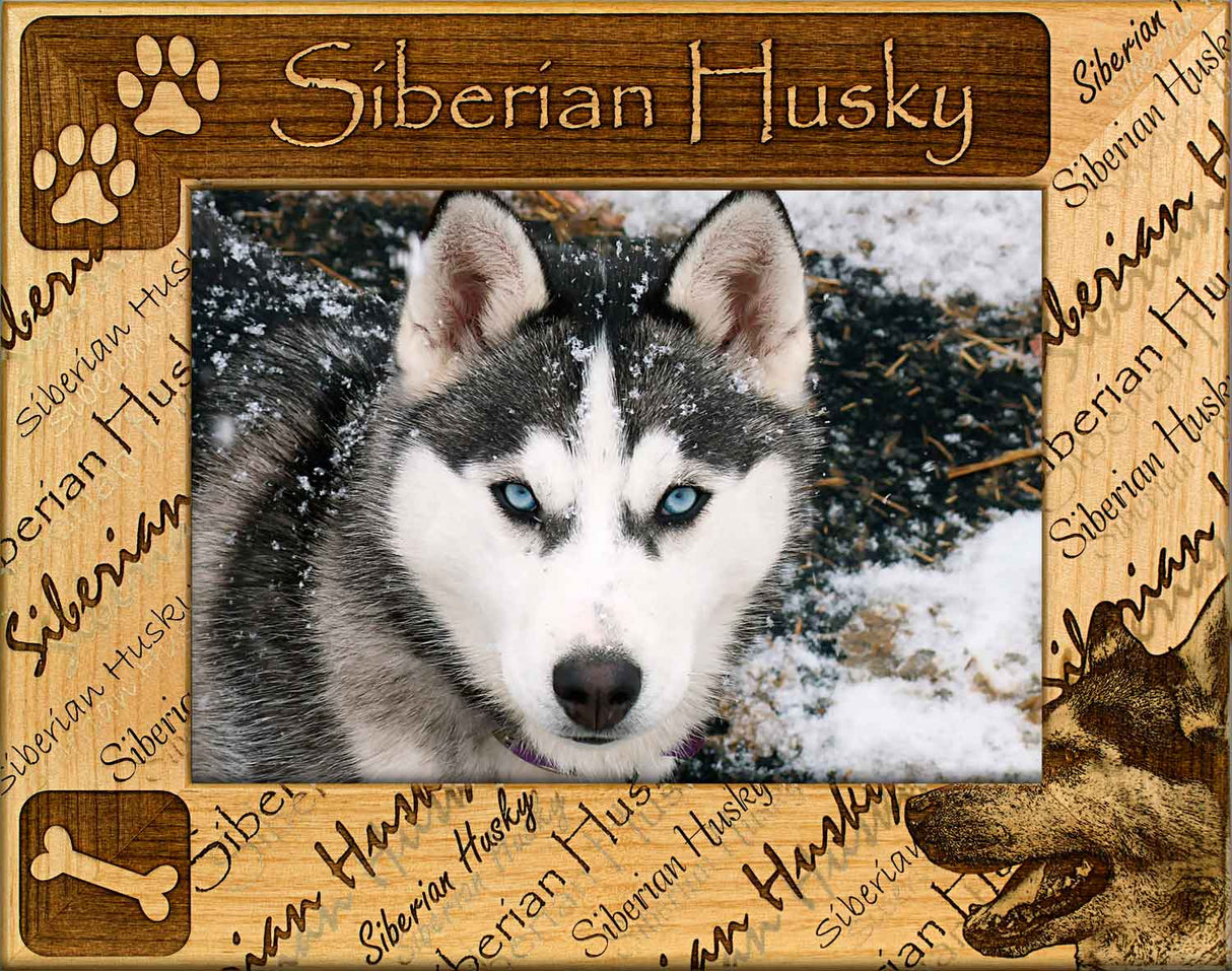 Siberian Husky - Dog Frame