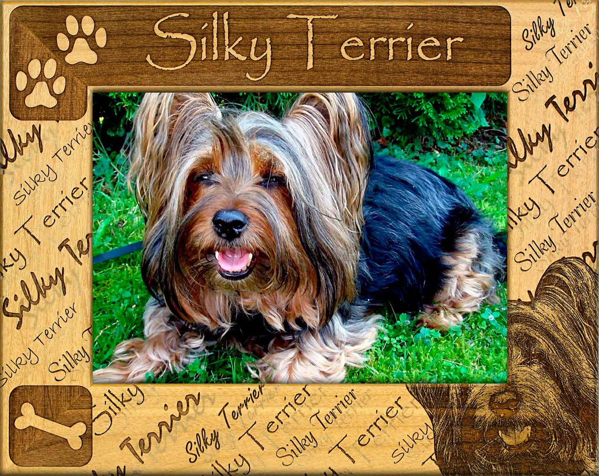 Silky Terrier - Dog Picture Frame