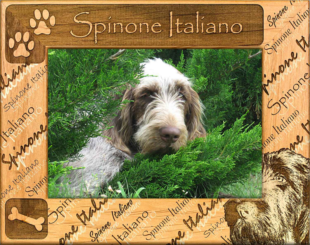 Spinone Italiano - Dog Breed Frame