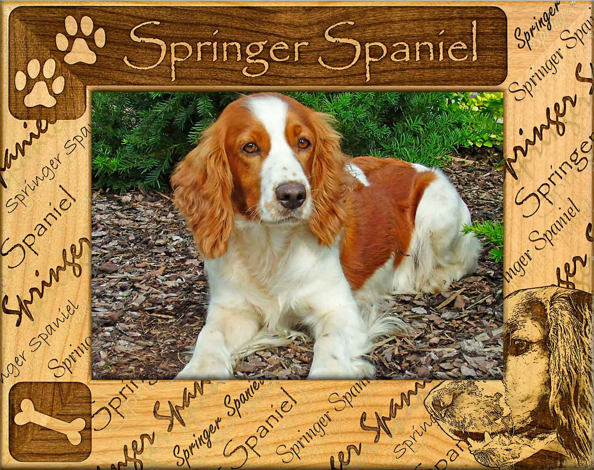 Springer Spaniel - Dog Breed Picture Frame