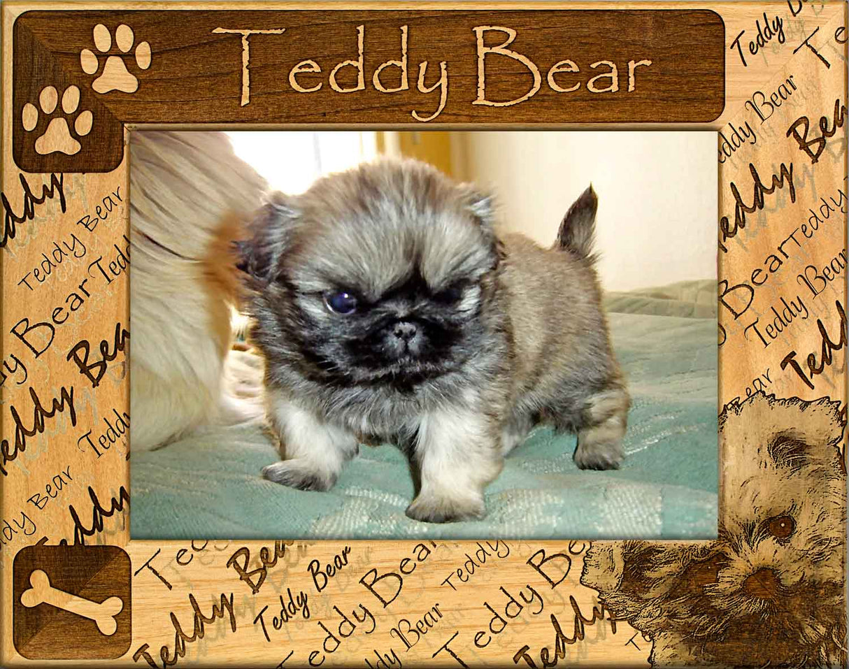 Teddy Bear - Dog Frame