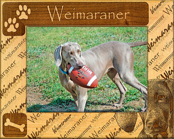 Weimaraner - Dog Breed Frame