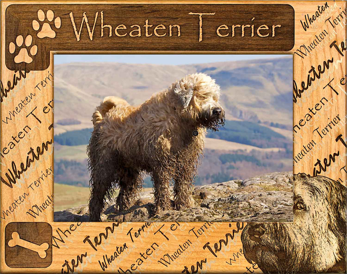 Wheaten Terrier - Dog Frame