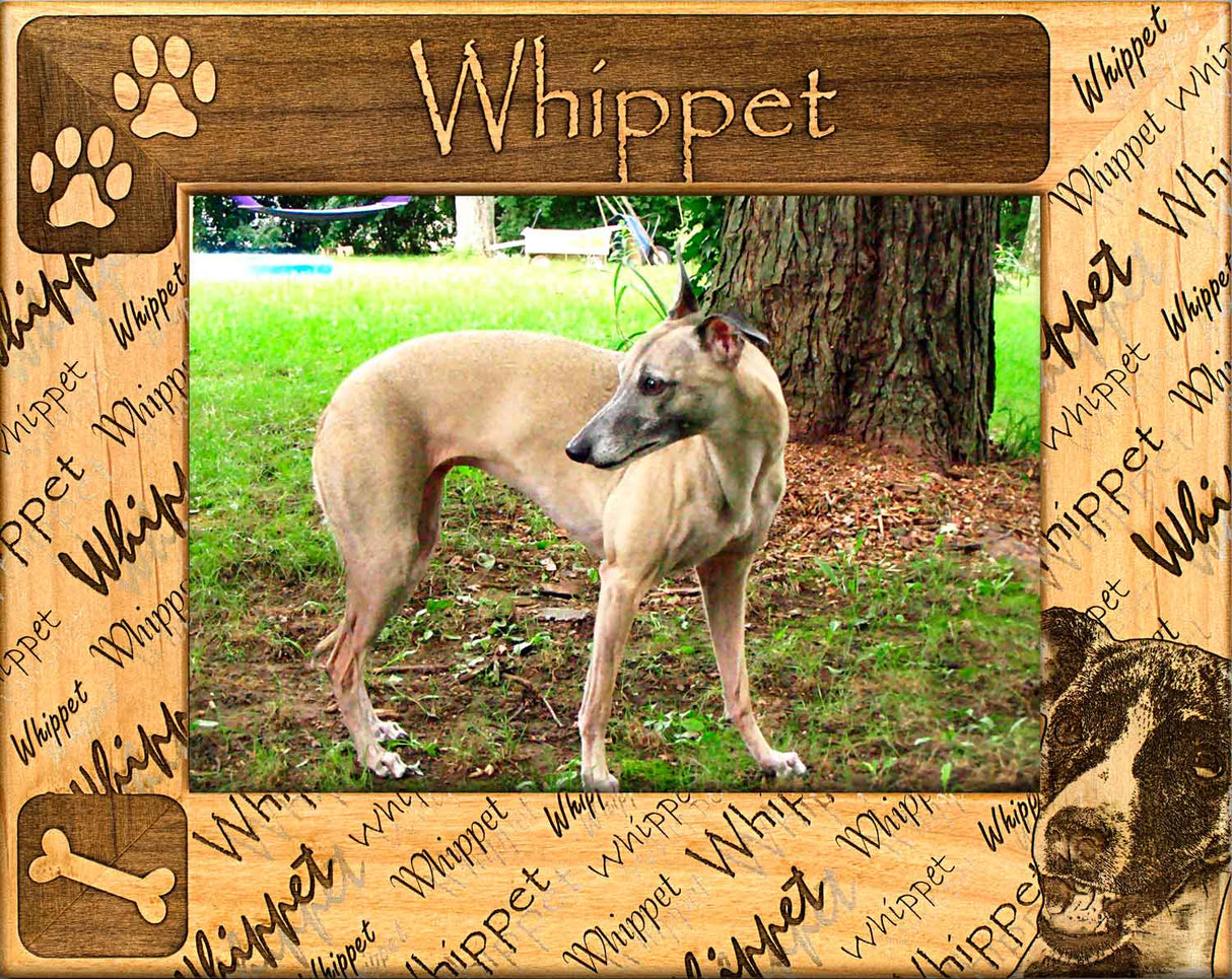 Whippet - Dog Picture Frame