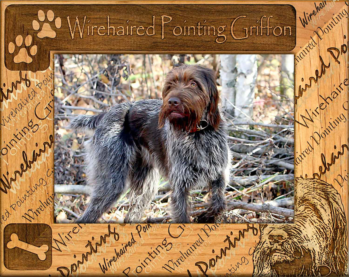 Wirehaired Pointing Griffon - Dog Breed Frame